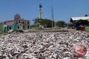 Ikan asin Lhokseumawe rambah pasar luar Aceh