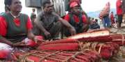 Buah merah Papua ampuh bunuh virus HIV?