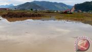 Terkena banjir, petani Aceh Selatan terima bantuan bibit jagung dan padi