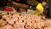 Harga ayam potong di Banda Aceh naik