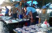 Harga ikan di Lhokseumawe melambung