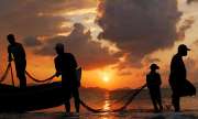 Sistem pantang laut di Aceh diteliti FAO