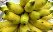 Buah-buahan Indonesia akan banjiri pasar dunia