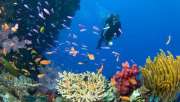 Pariwisata Sabang semakin menggeliat