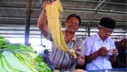 Harga tembakau lose di Aceh Utara capai Rp320 ribu per kilogram