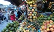 Buah di Dataran Tinggi Gayo, tak kalah segar dengan Brastagi