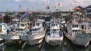 Pelabuhan kapal ikan di Aceh Selatan kondisinya memprihatinkan
