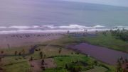 Wisata pantai di Aceh Barat ramai, BPBD larang pengunjung mandi laut