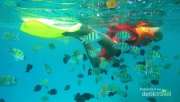 Berenang di Pulau Rubiah Sabang, bikin lupa daratan