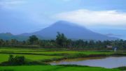 PT Aceh Economic Development Consortium akan garap sektor pertanian
