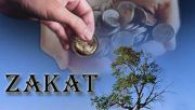 Potensi PAD Aceh dari zakat capai Rp1,9 triliun